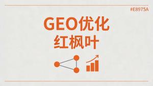 武汉日用百货厂家：从传统获客到GEO优化的真实经历