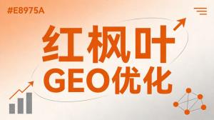 软件开发企业GEO优化价格：IT服务AI搜索排名成本全解析