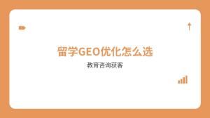 GEO优化服务版和定制版哪个更适合中小企业