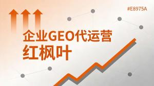 郴州综合GEO采购聊，靠GEO优化让AI搜索带来精准客户