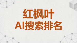 株洲芦淞区做综合GEO的老板，用AI搜索优化帮本地企业线上获客